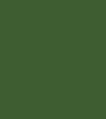 Green Plain T-Shirt Green Plain T-Shirt