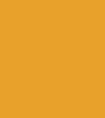 Golden-Yellow Plain T-Shirt Golden-Yellow Plain T-Shirt