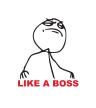 Like a Boss Like a Boss